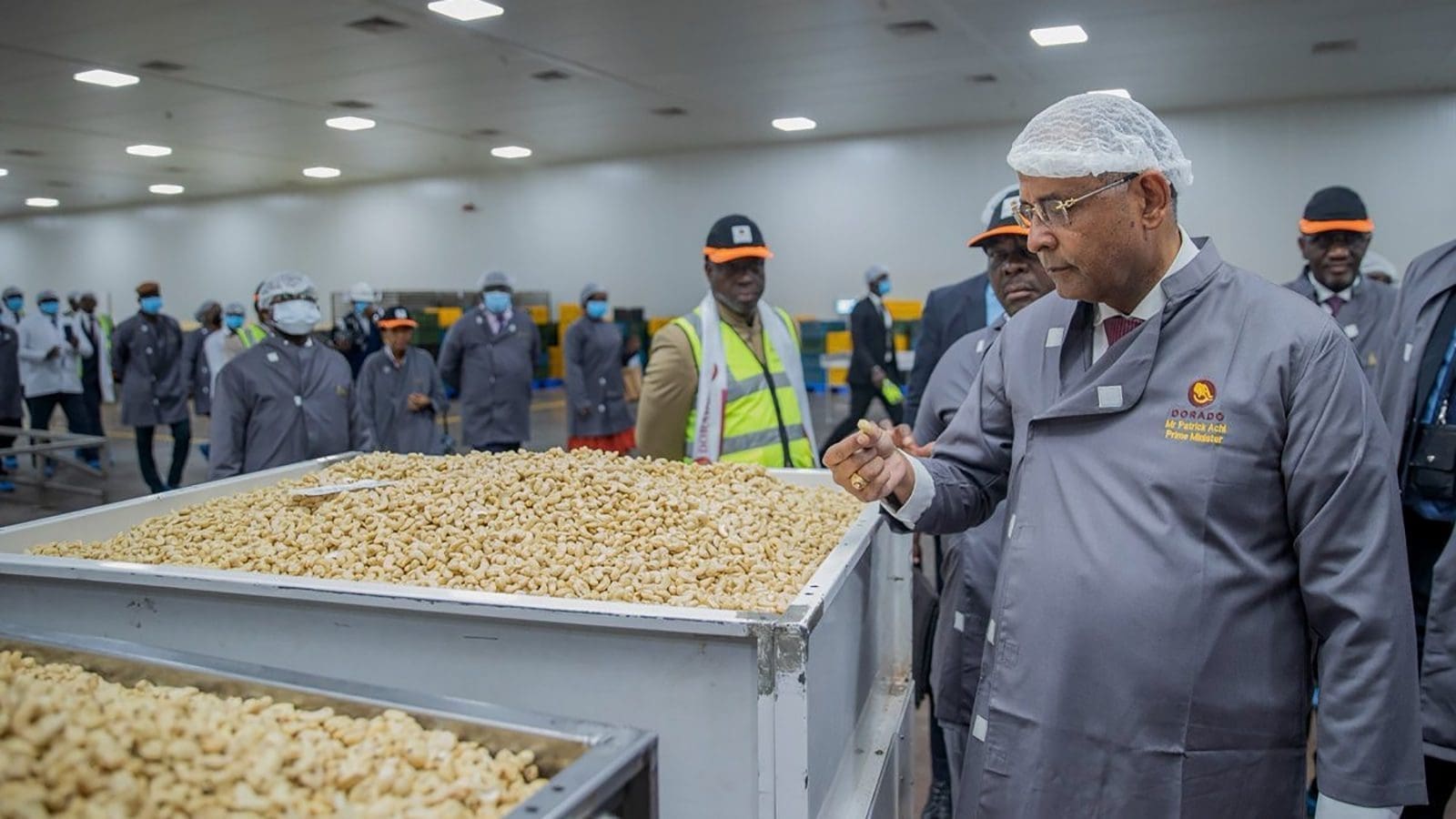 Royal Nuts opens US$23m cashew nut processing plant in Ivory Coast