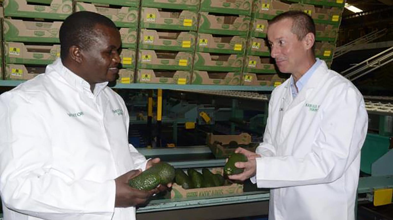 Kenyan fresh produce exporters ready inaugural fresh avocado exports to China Food Business