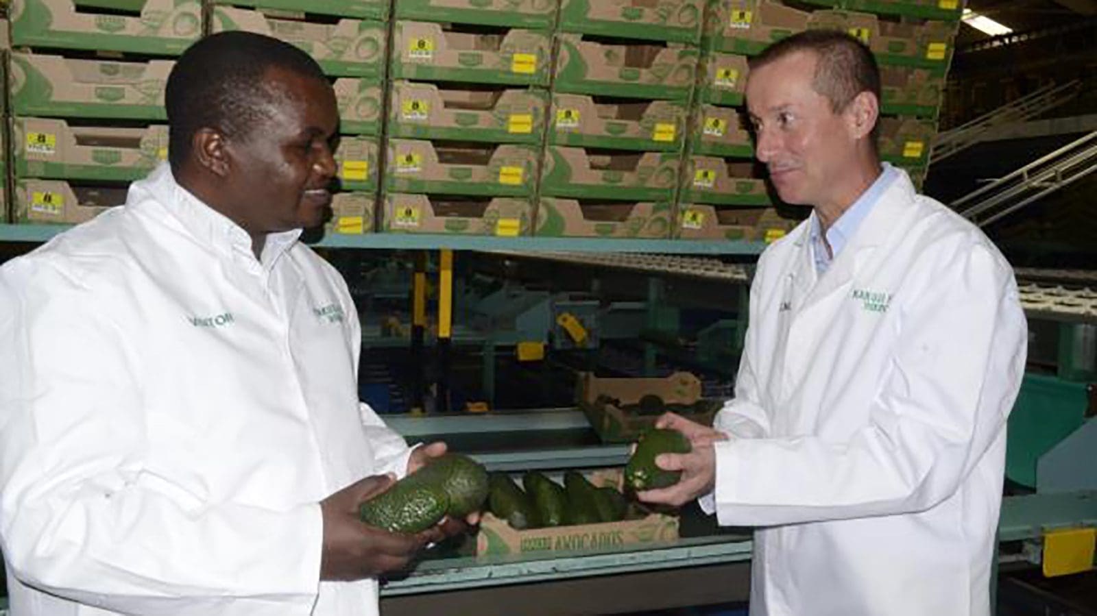 Kenyan fresh produce exporters ready inaugural fresh avocado exports to China