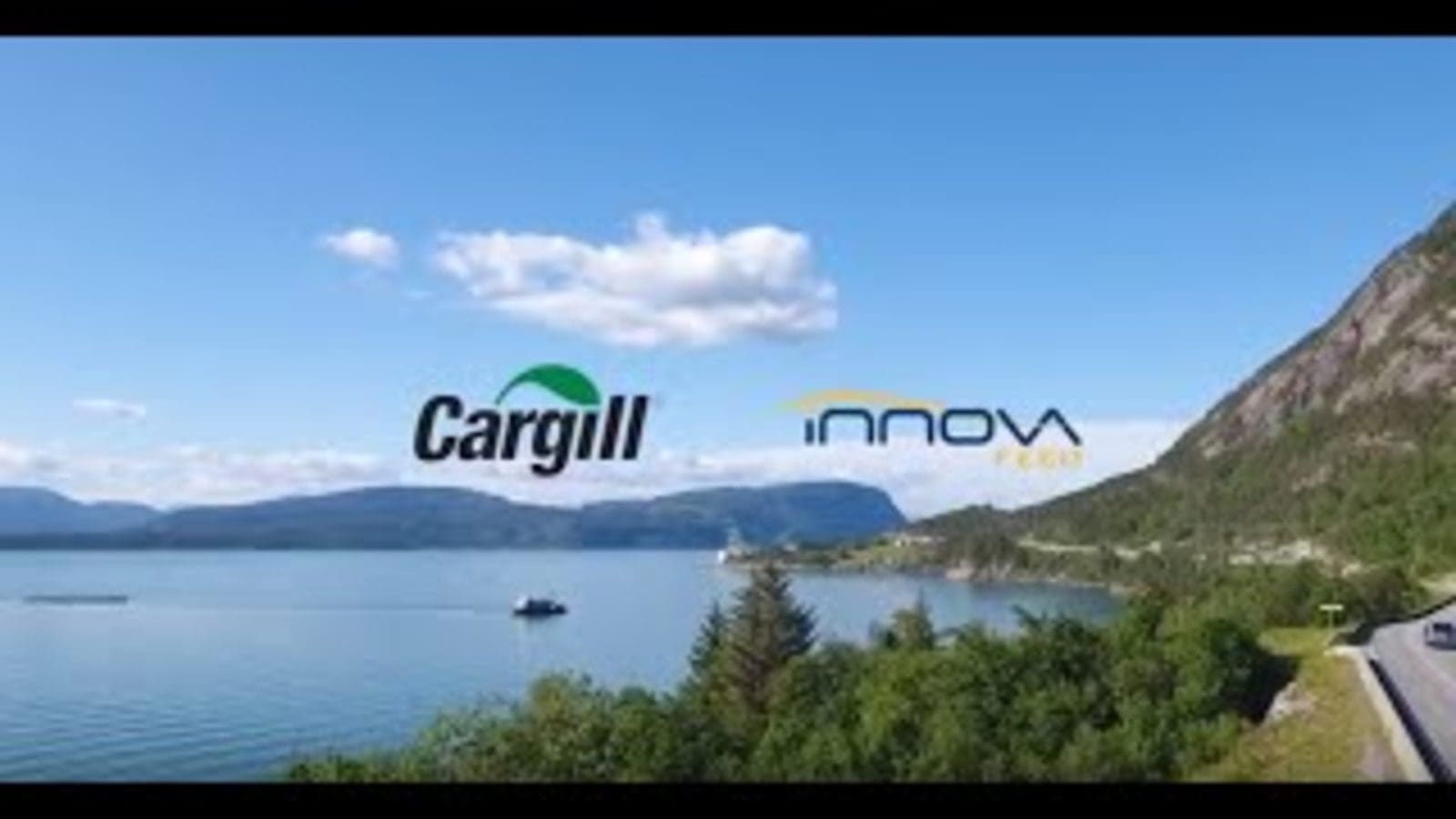 Cargill, Innovafeed extend partnership on insect-based feed