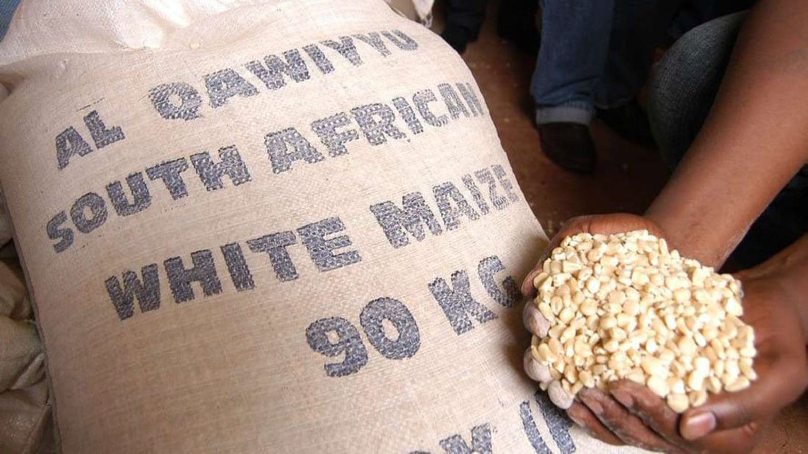 Kenya wants greater share of Zambia, Tanzania and Uganda maize exports