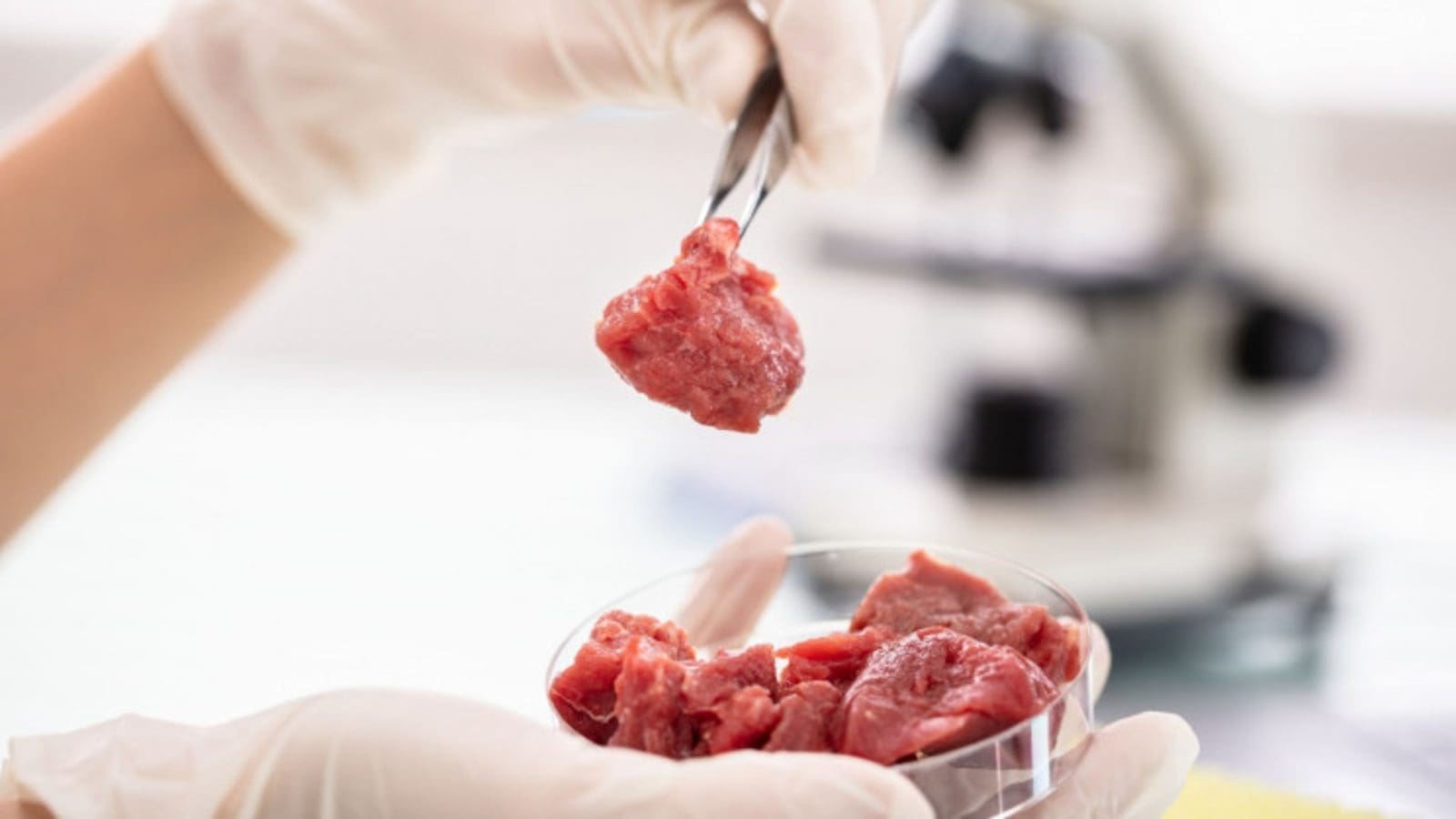 Chinese scientists develop new technology to accelerate production of lab-grown meat