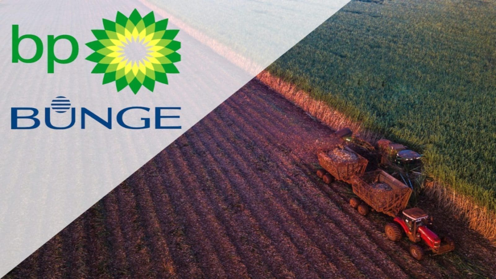 Bunge, BP to sell Brazil ethanol, Sugar joint venture