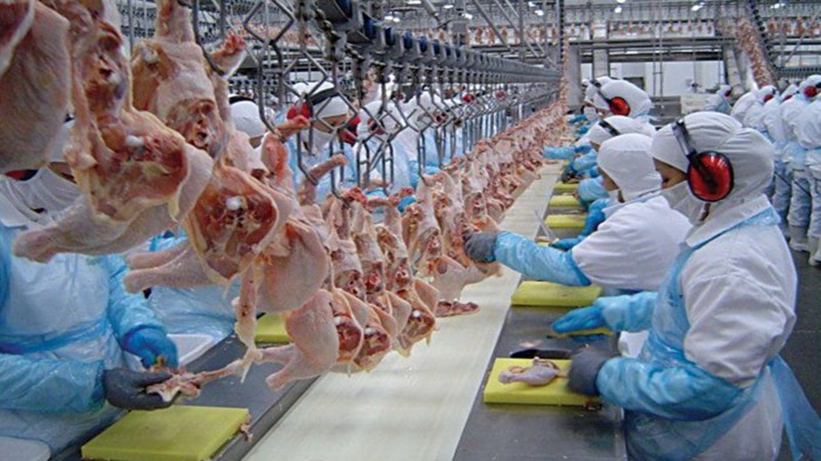 Major US poultry processors fined US$85m over violating federal antitrust laws
