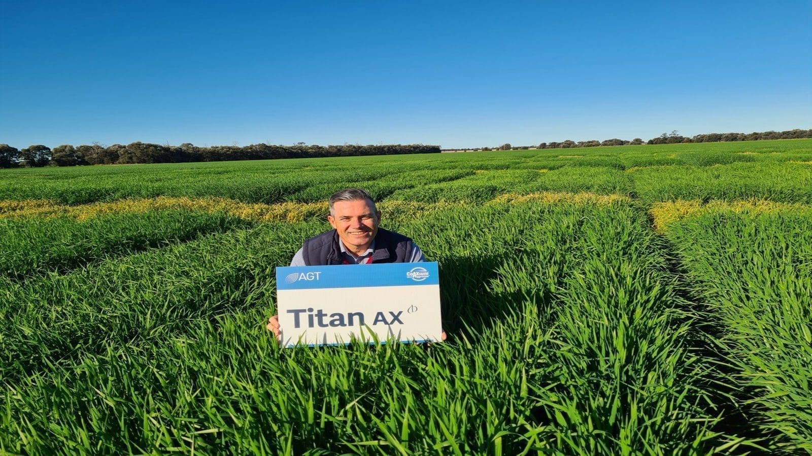 AGT releases world’s first herbicide-tolerant barley variety