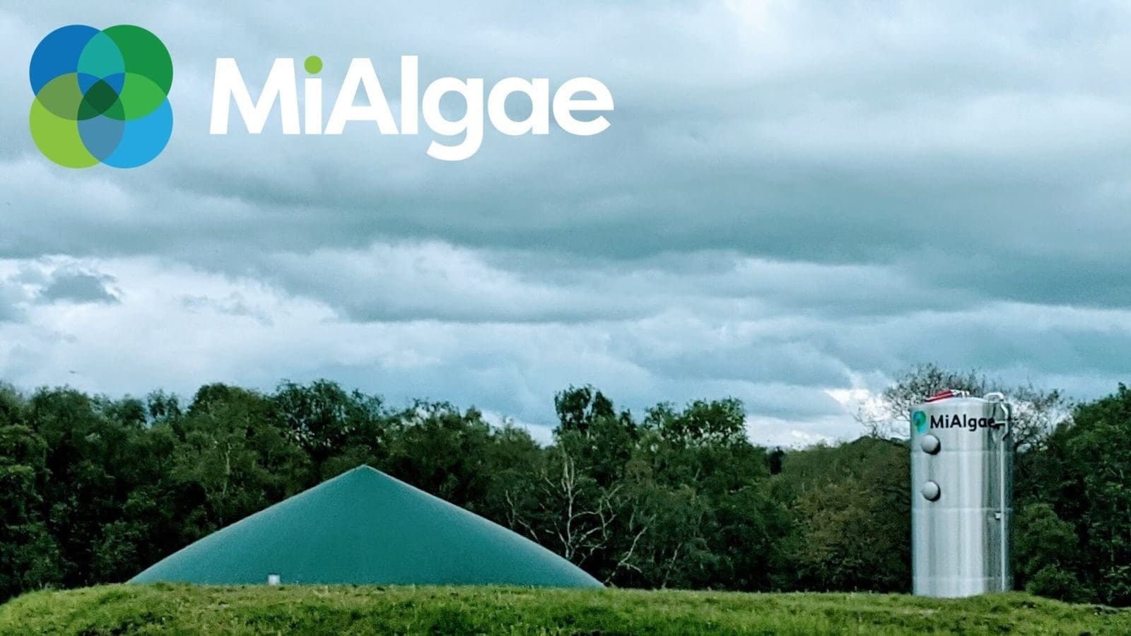MiAlgae secures US$2.7m funding to scale sustainable production of Omega 3 oils