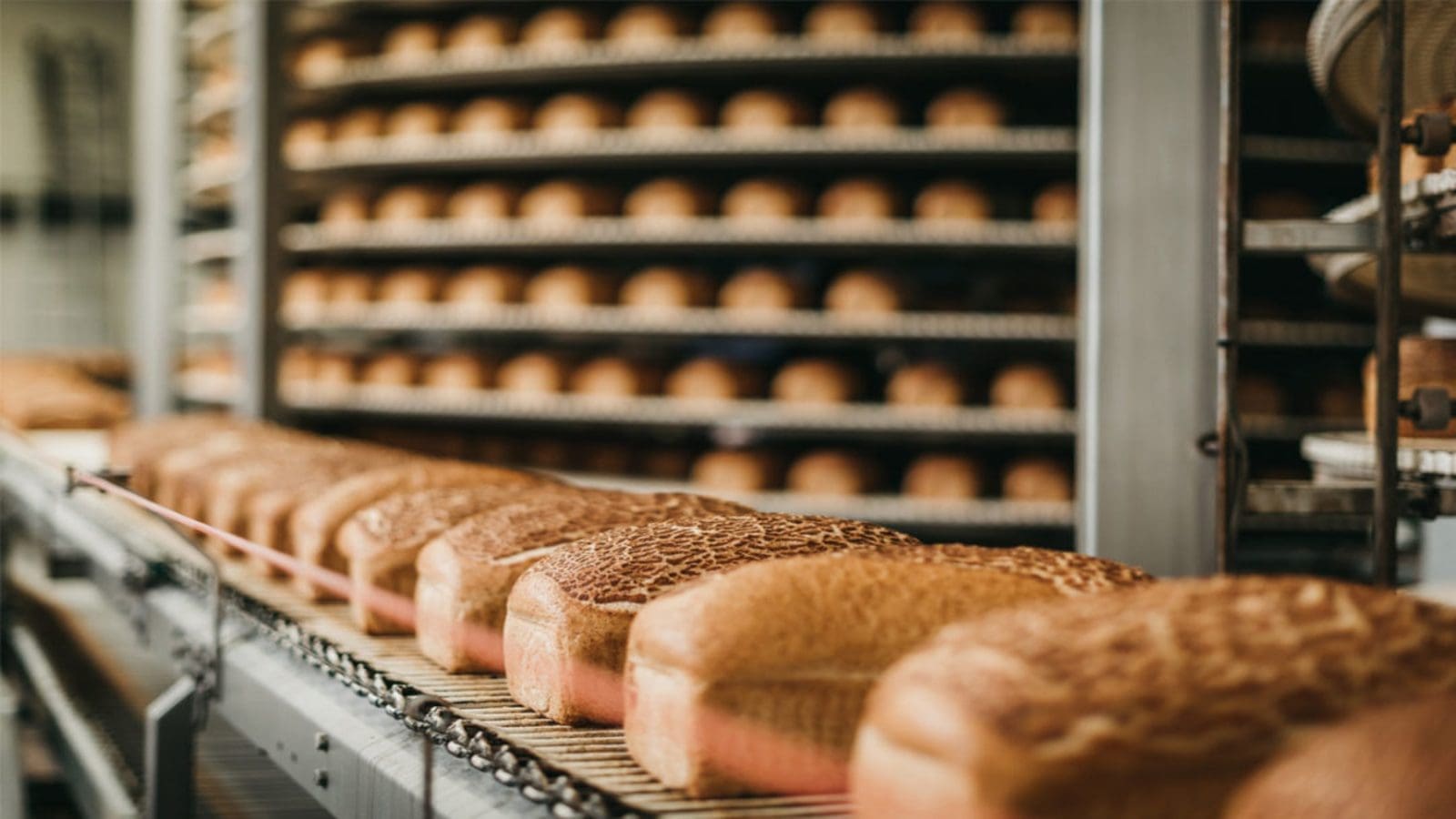 Puratos leverages digital tools to help bakers cut environmental impact, Kerry saves 34.5 billion loaves of bread annually