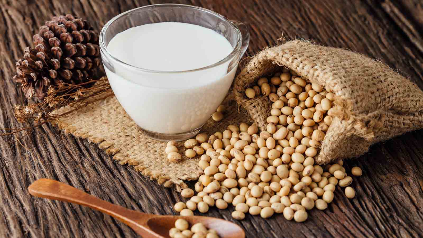Soy processing does not negatively impact protein’s nutritional quality in soy: Unilever and Wageningen University