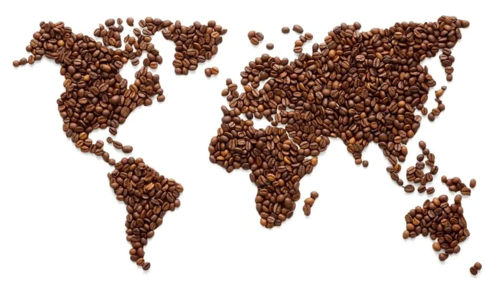 Rabobank lowers 2022/23 global coffee production forecast