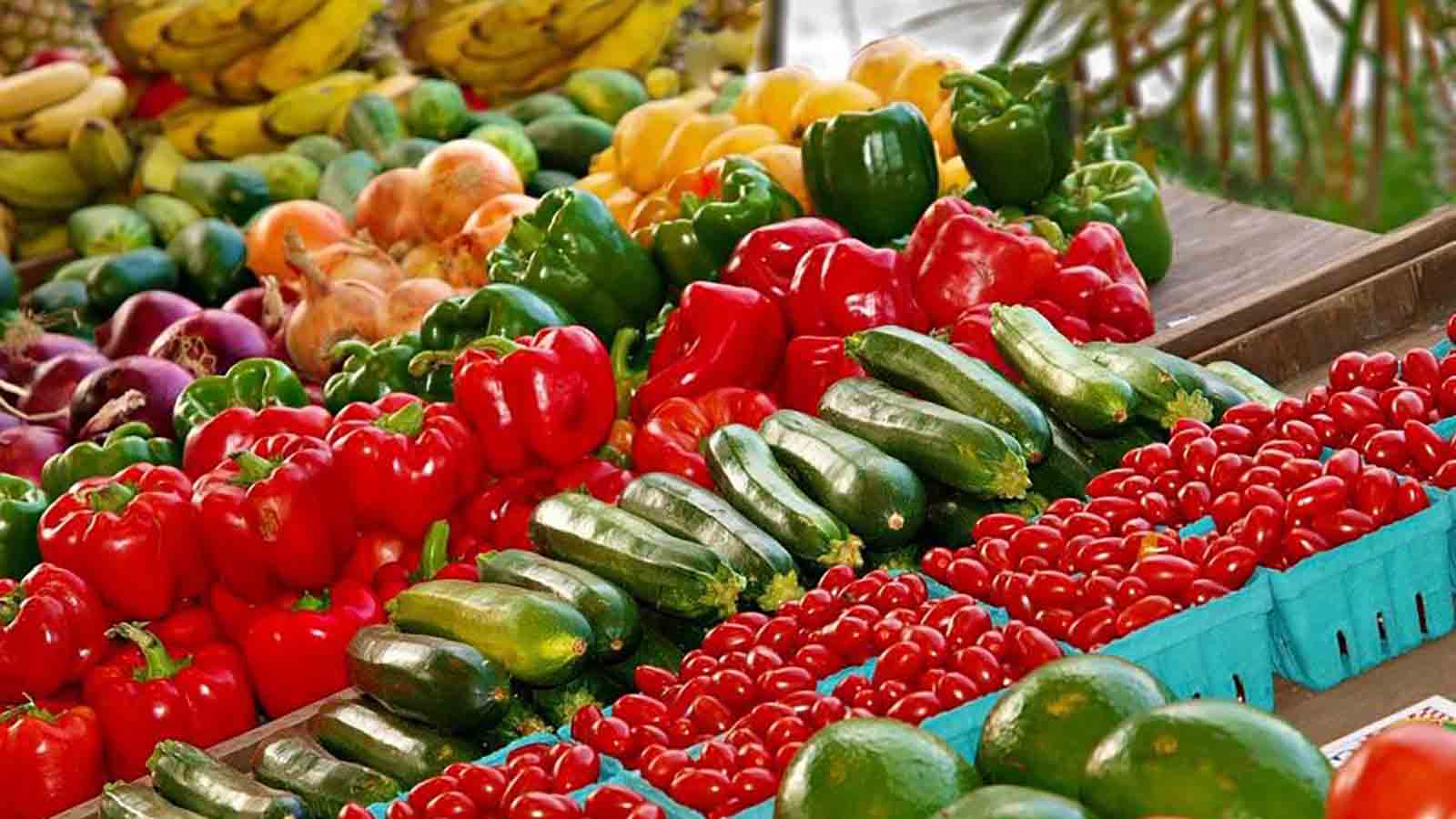 Zimbabwe to boost growth of horticulture sector with newly launched US$30m fund