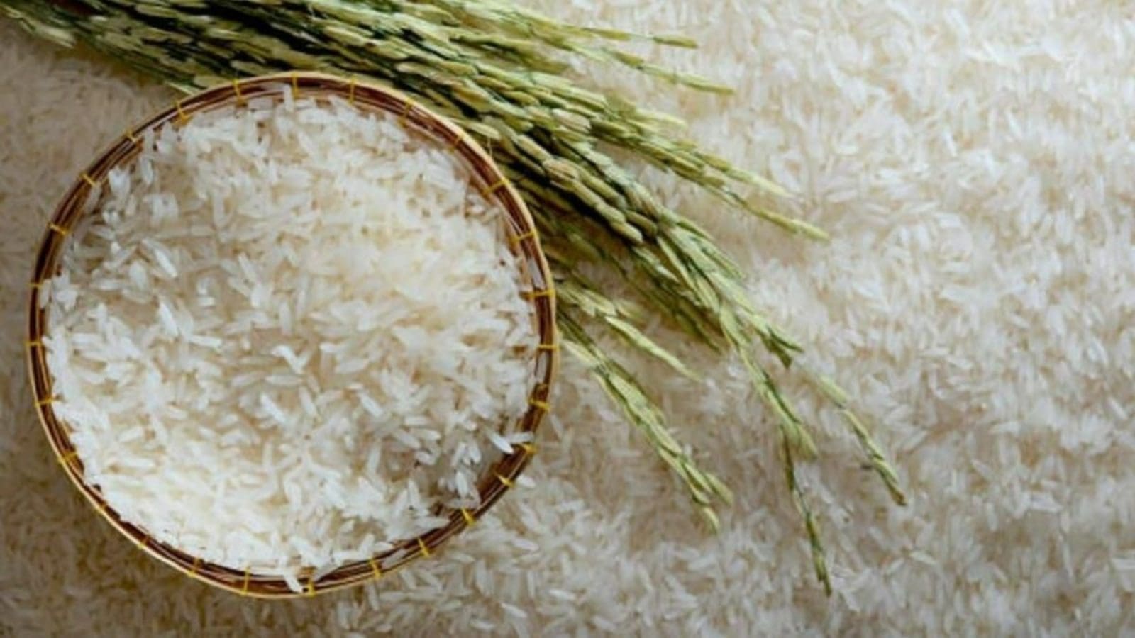 <strong>Long rice to become a scarce commodity as from December as severe drought impacts production</strong>