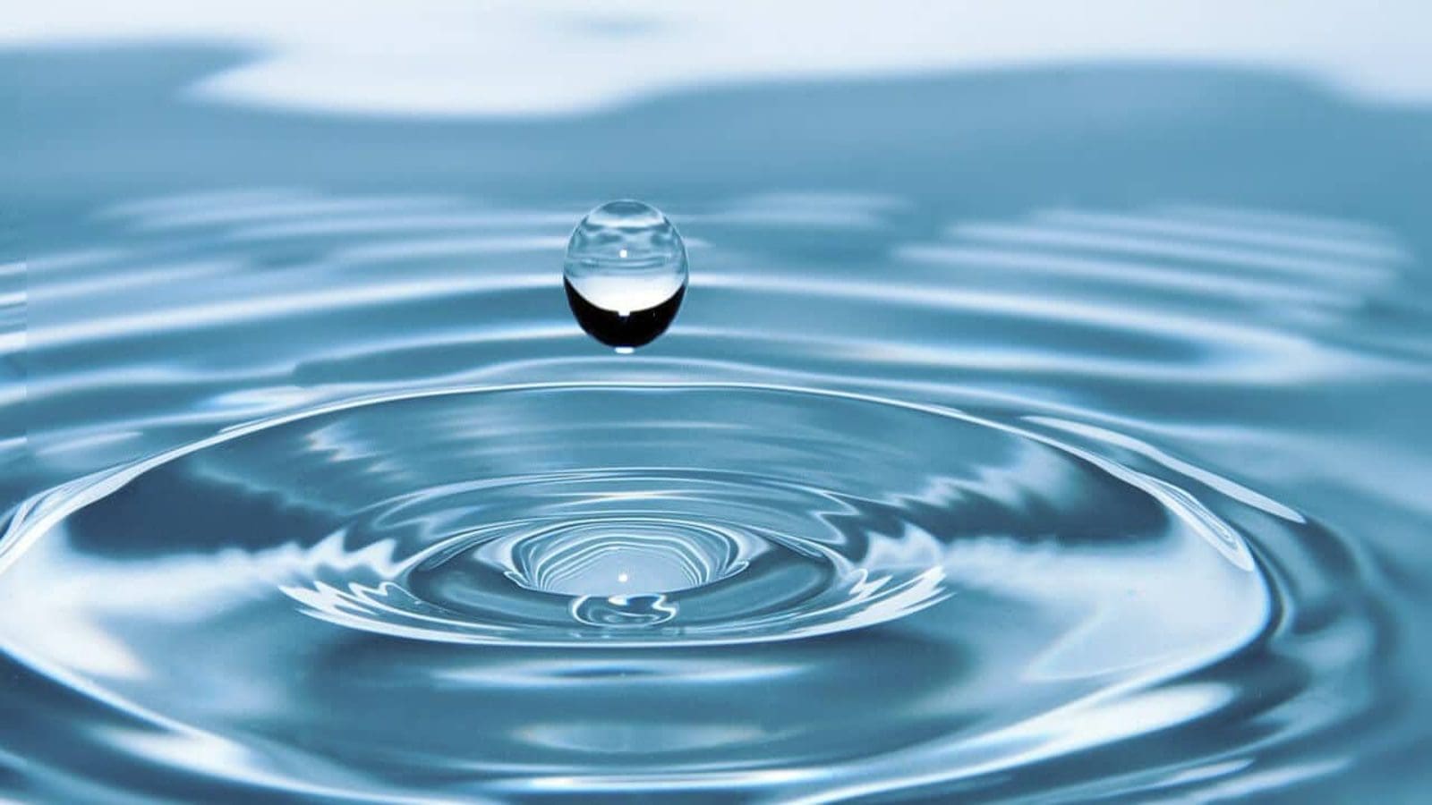 Constellation Brands invests US$0.7m in water stewardship program