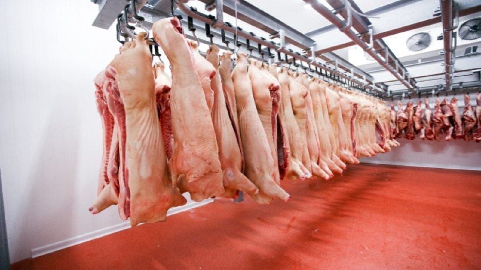 Pilgrim’s UK injects US$780,000 into renovation program for Bromborough pork plant