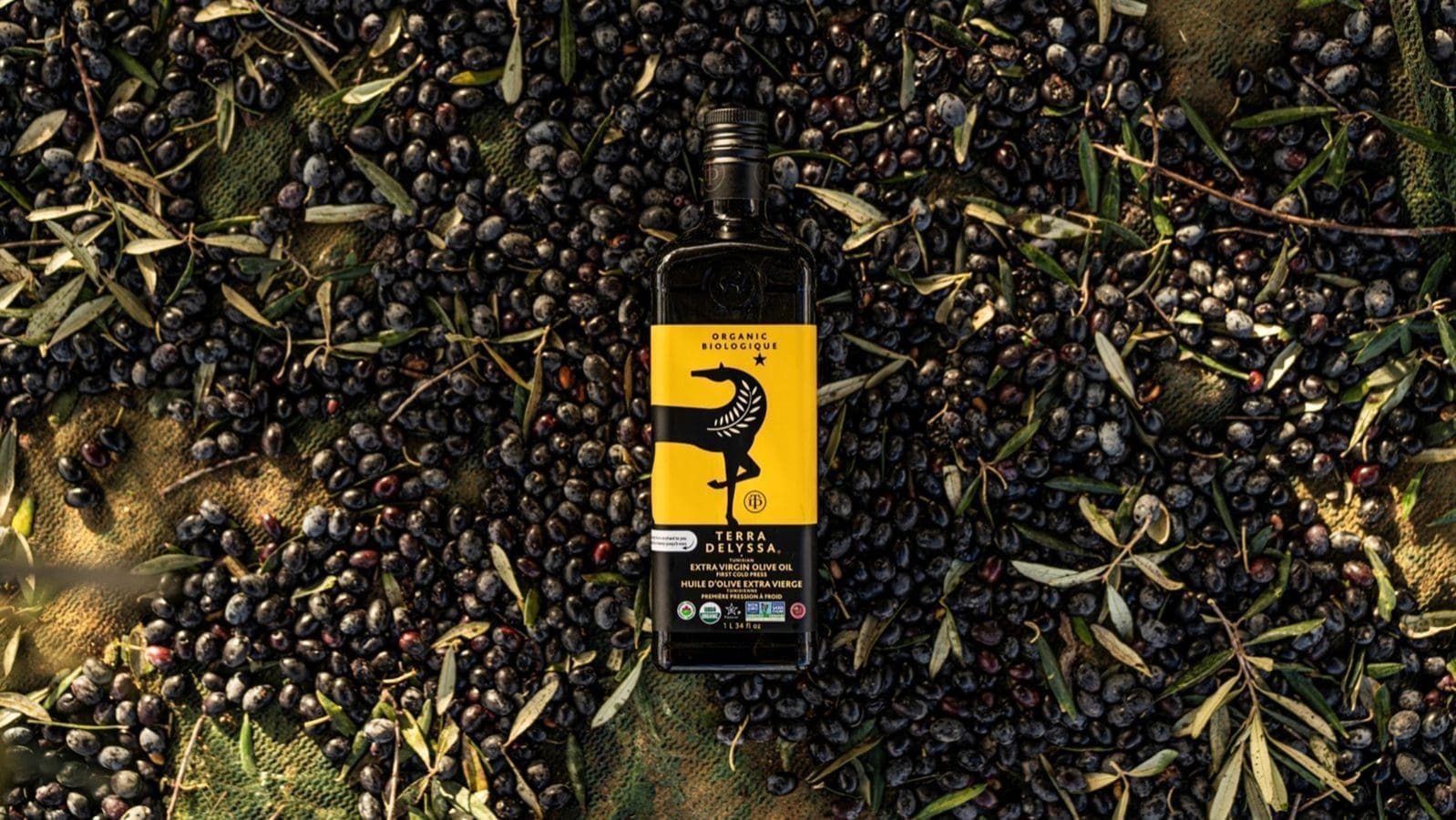 Gulf Capital exits from Tunisian olive oil producer CHO Company after years of gainful partnership