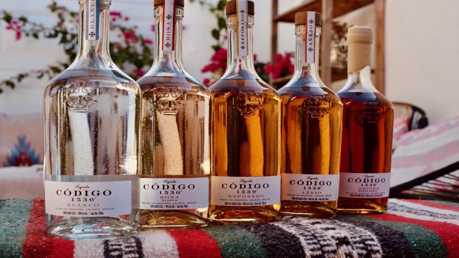 Pernod Ricard acquires majority stake in ultra-premium tequila Código 1530, boosting North America presence