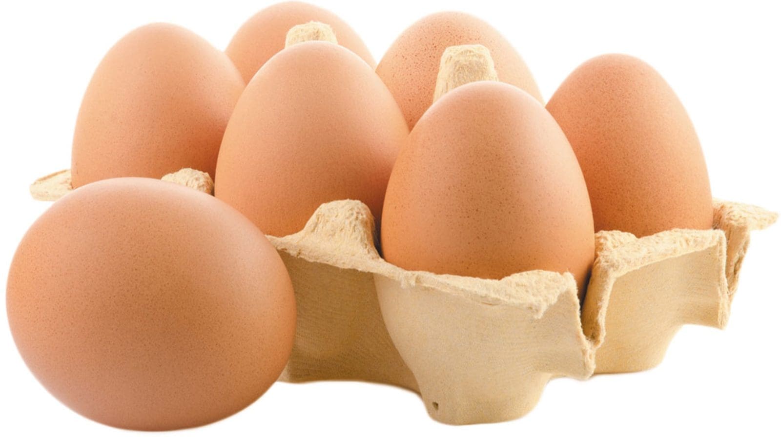 Eggflation will persist through 2023: Rabobank report