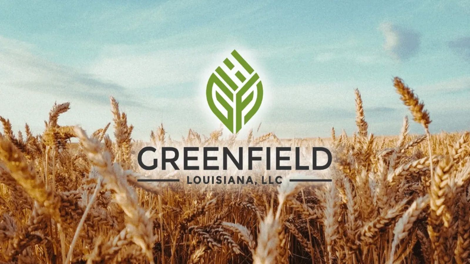 Greenfield Grain plans US$20m grain elevator