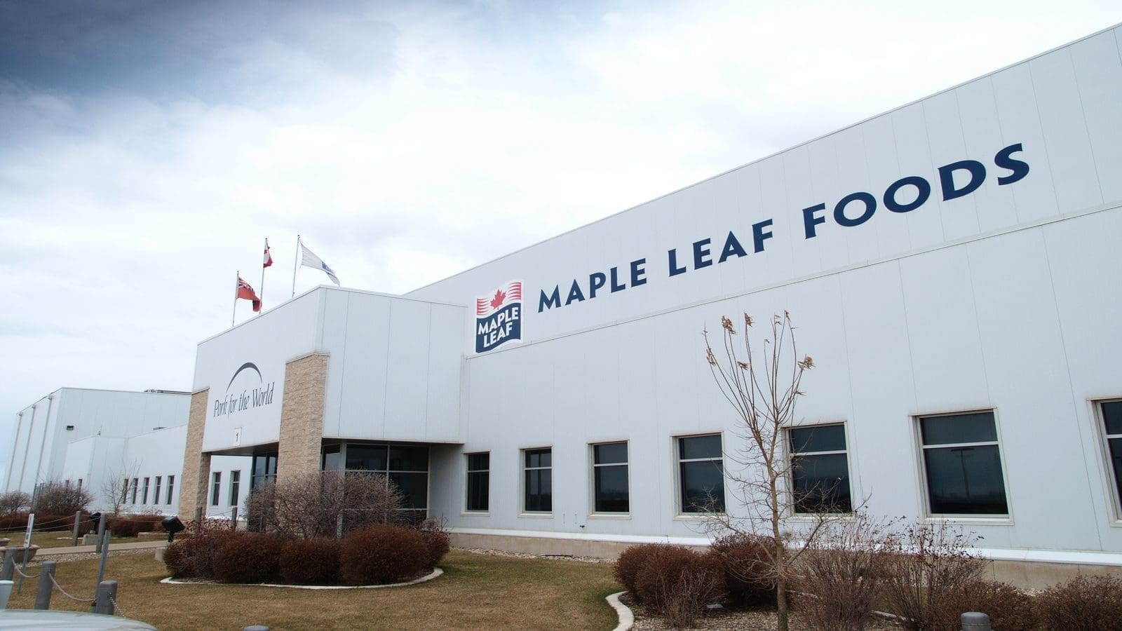 Maple Leaf Foods bullish about Q4 results as new poultry plant comes online