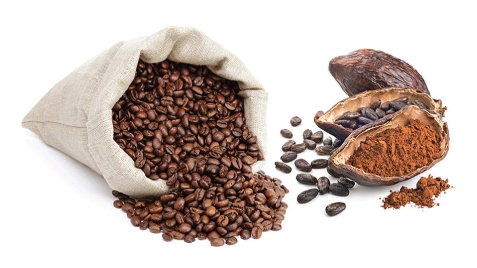 Thumbnail for Ethiopia’s coffee exports hit US$1.23B in eight months surpassing targets 