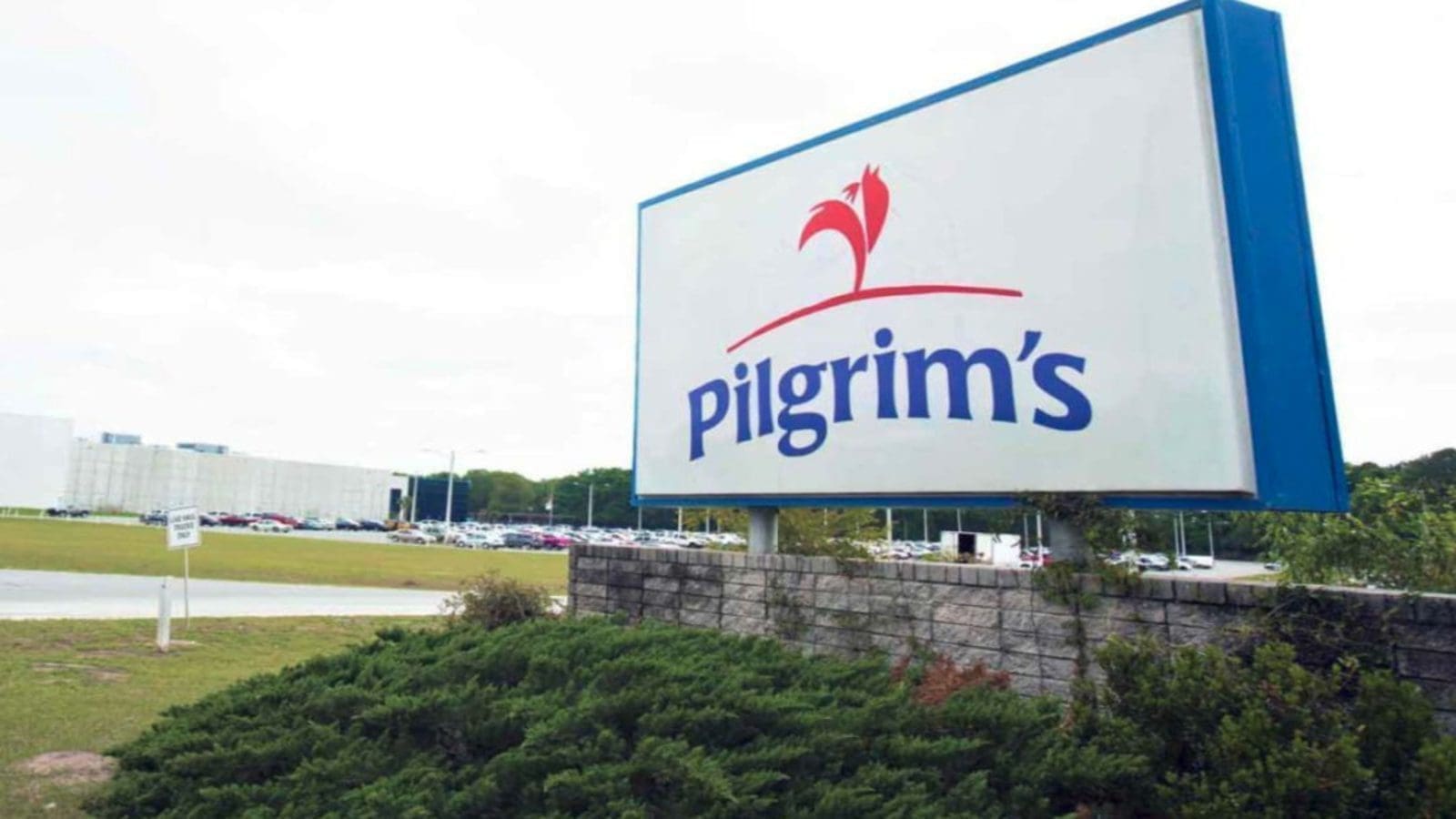 Pilgrim’s Pride reaps big in Q3, registering 16.8% net revenue growth as consumer tastes shifts from costly beef to cheaper chicken