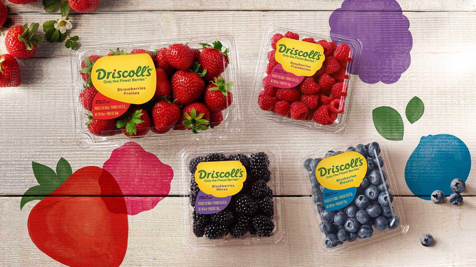 <strong>Egypt’s Cairo 3A enters into exclusive distribution agreement with berries exporter Driscoll’s</strong>