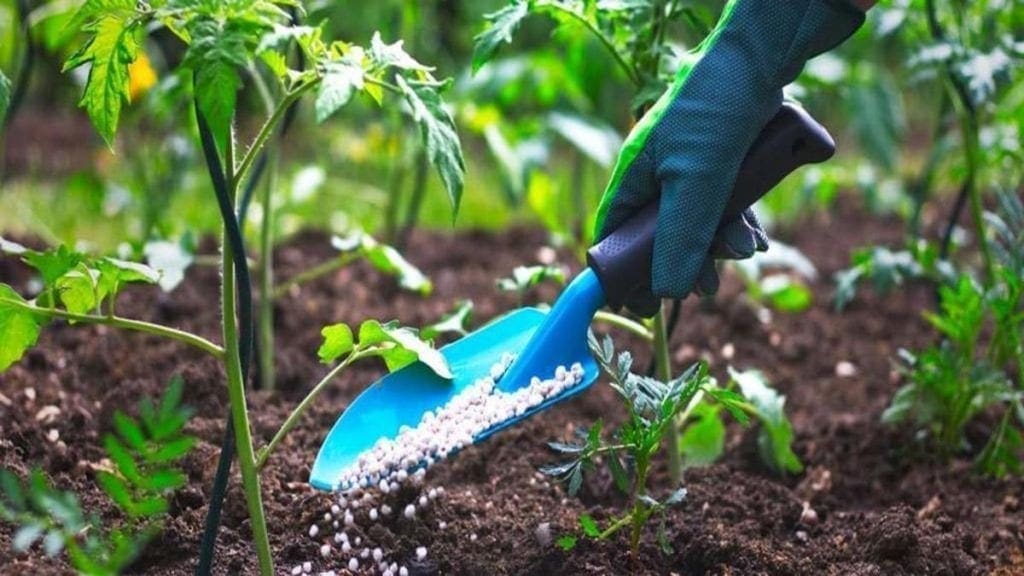 Madagascar calls for OCP investment to achieve self-sufficient farming