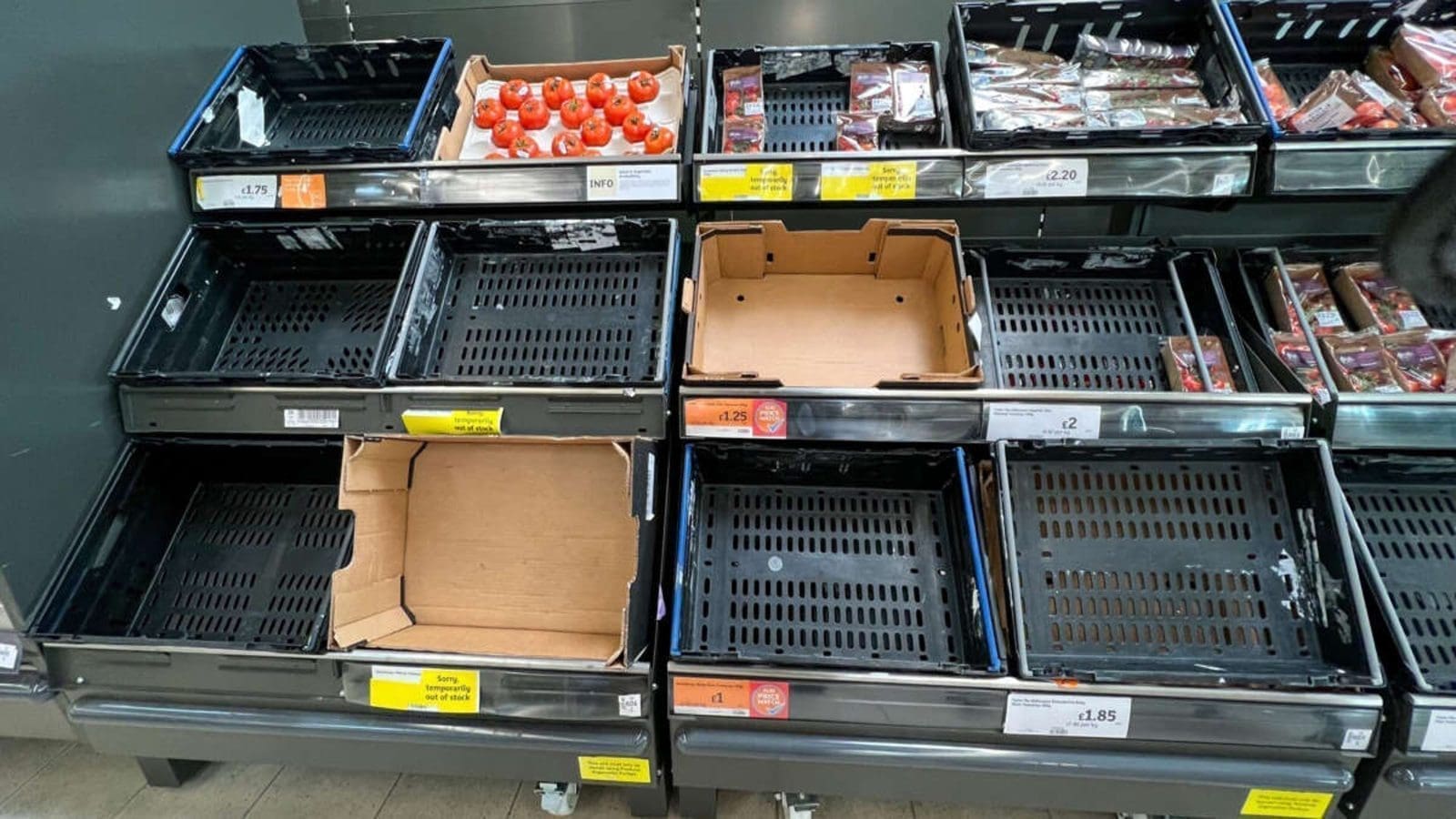 uk-faces-acute-shortage-of-some-fruits-and-vegetables-supermarkets