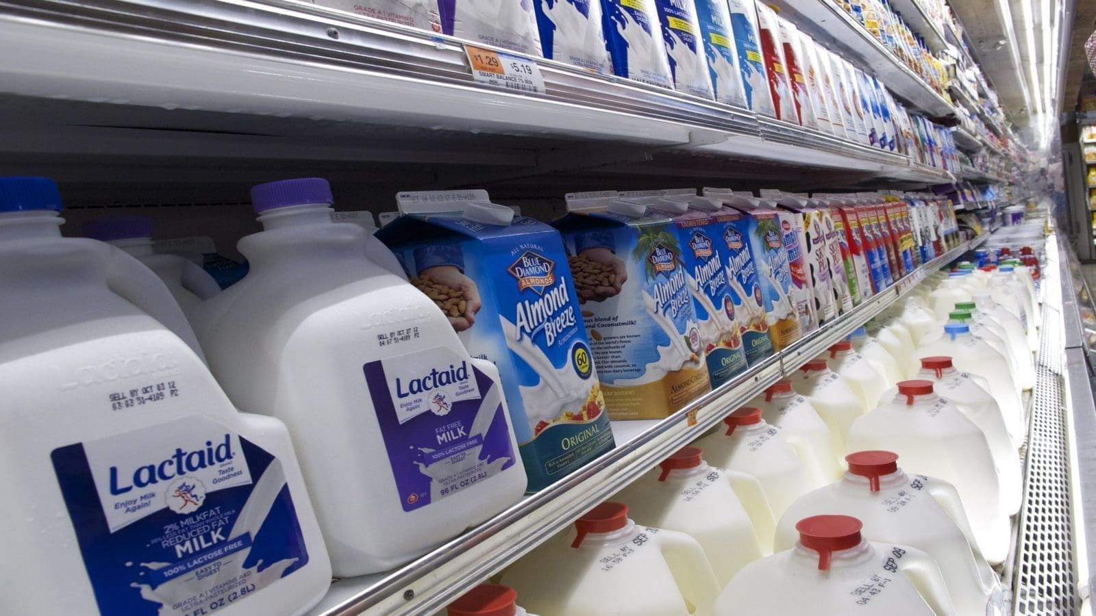 Study questions the suitability of cartons as primary packages for milk