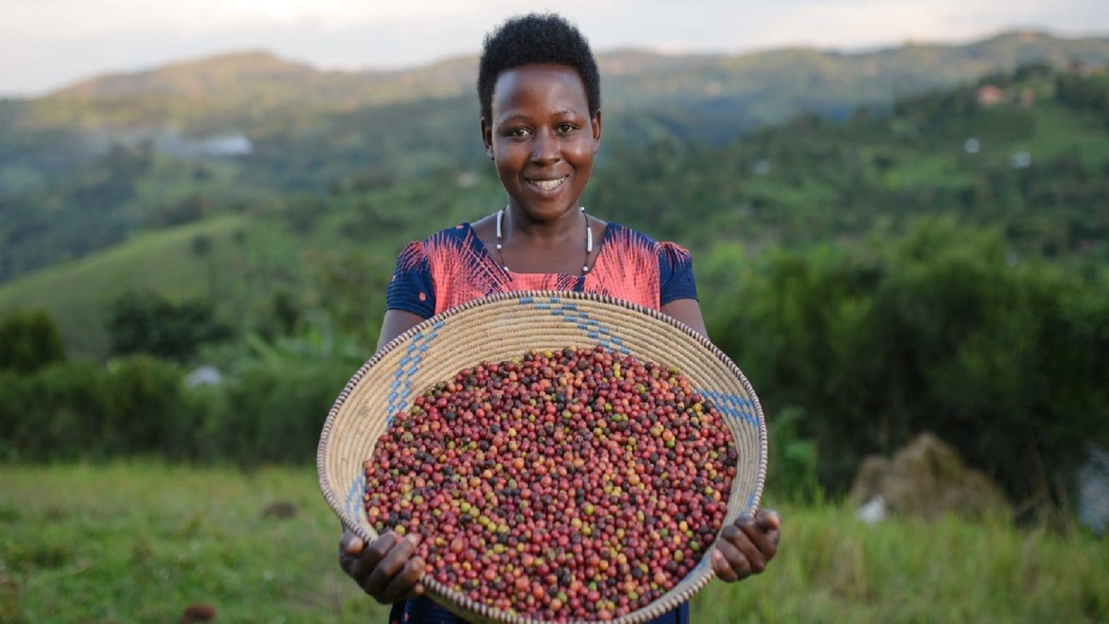 African Union declares coffee a strategic crop for Africa 
