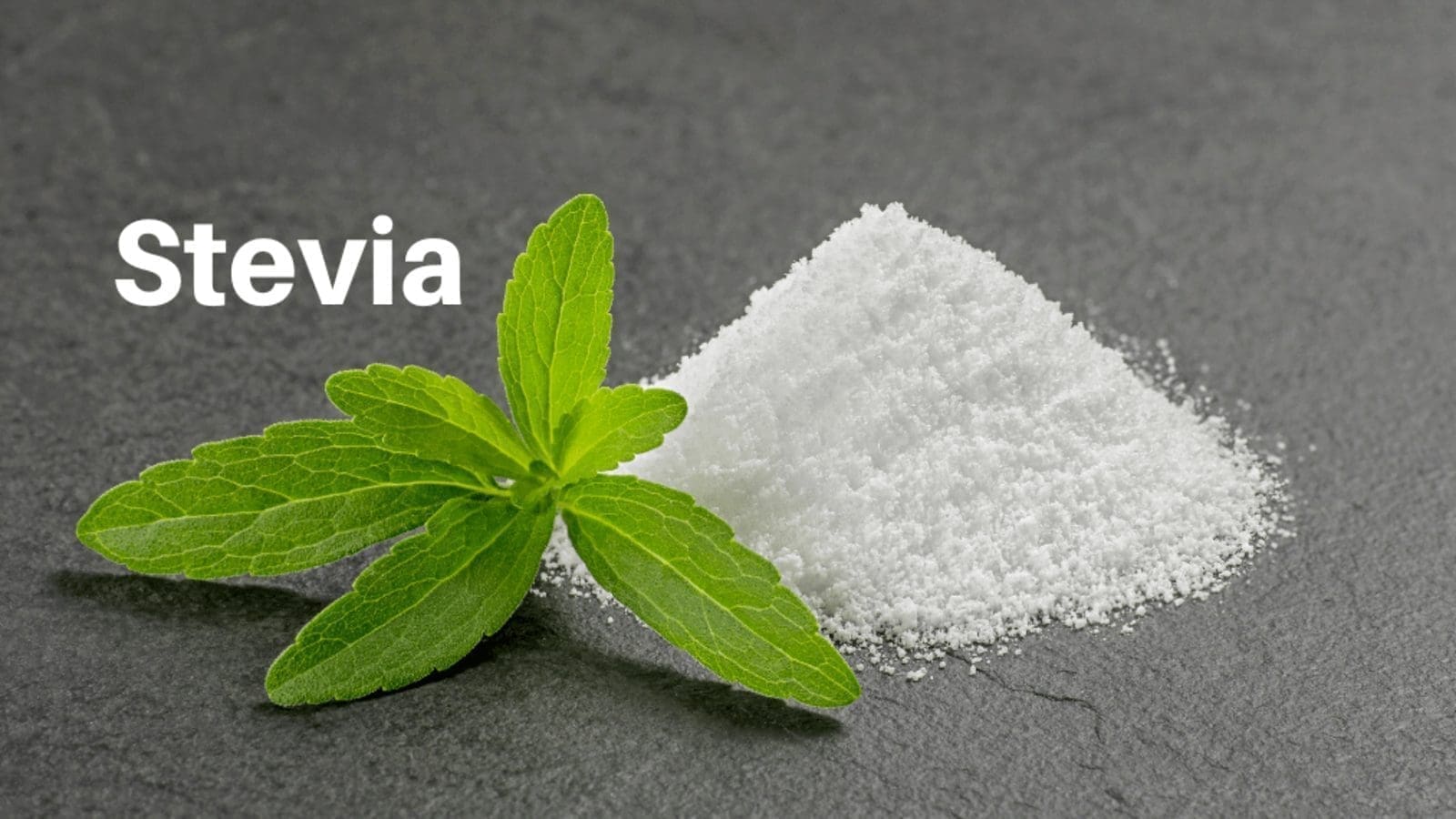 Production of steviol glycosides extracted from stevia proves to be