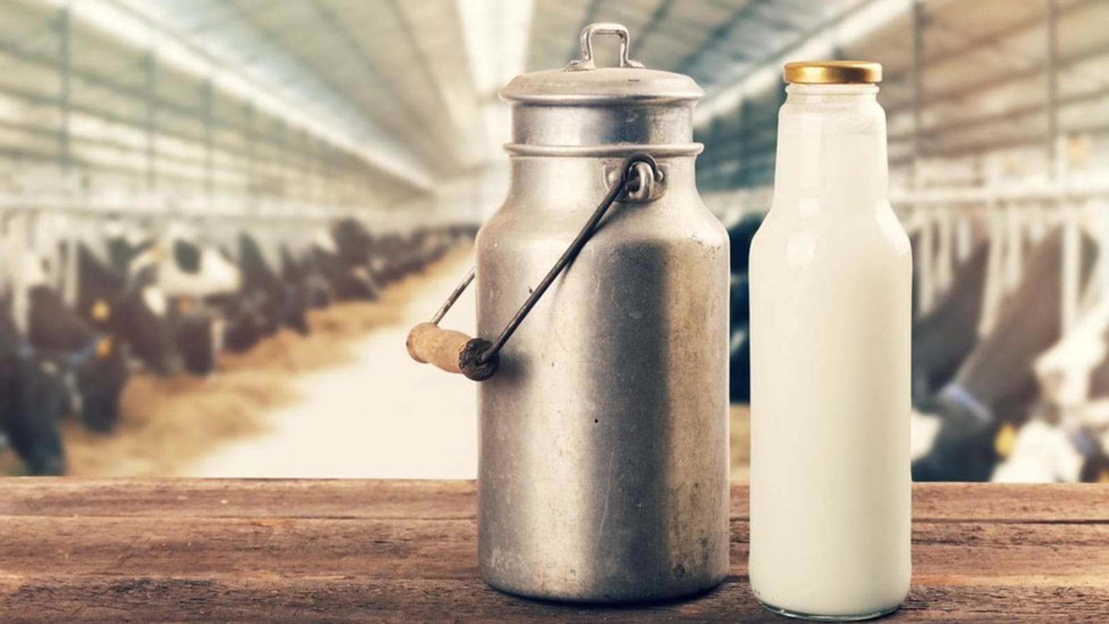 Dairy product imports drop 20% as Government import substitution policy bears fruits