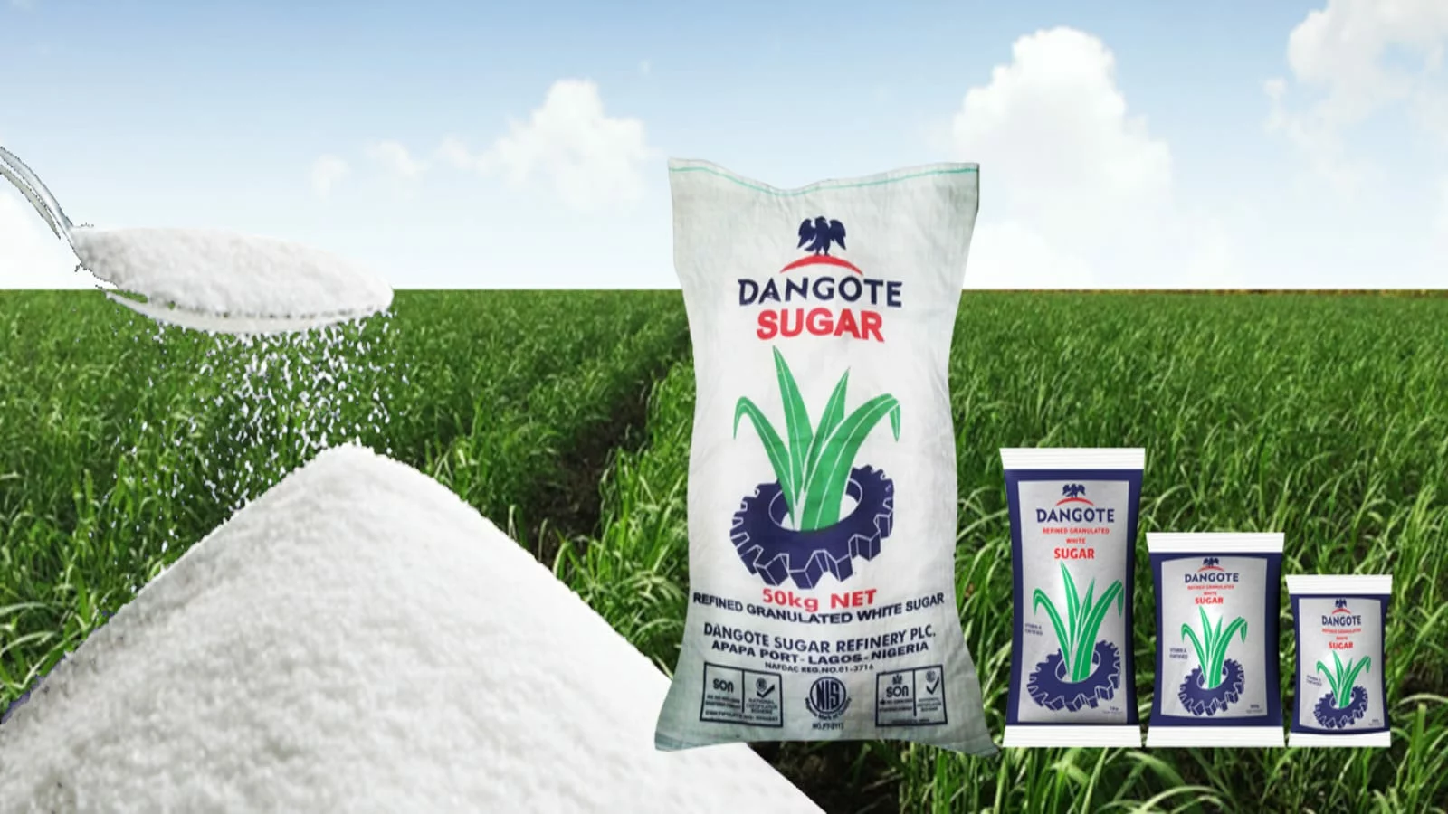 Dangote Sugar Refinery hits new record high of US$875m in FY22 revenue