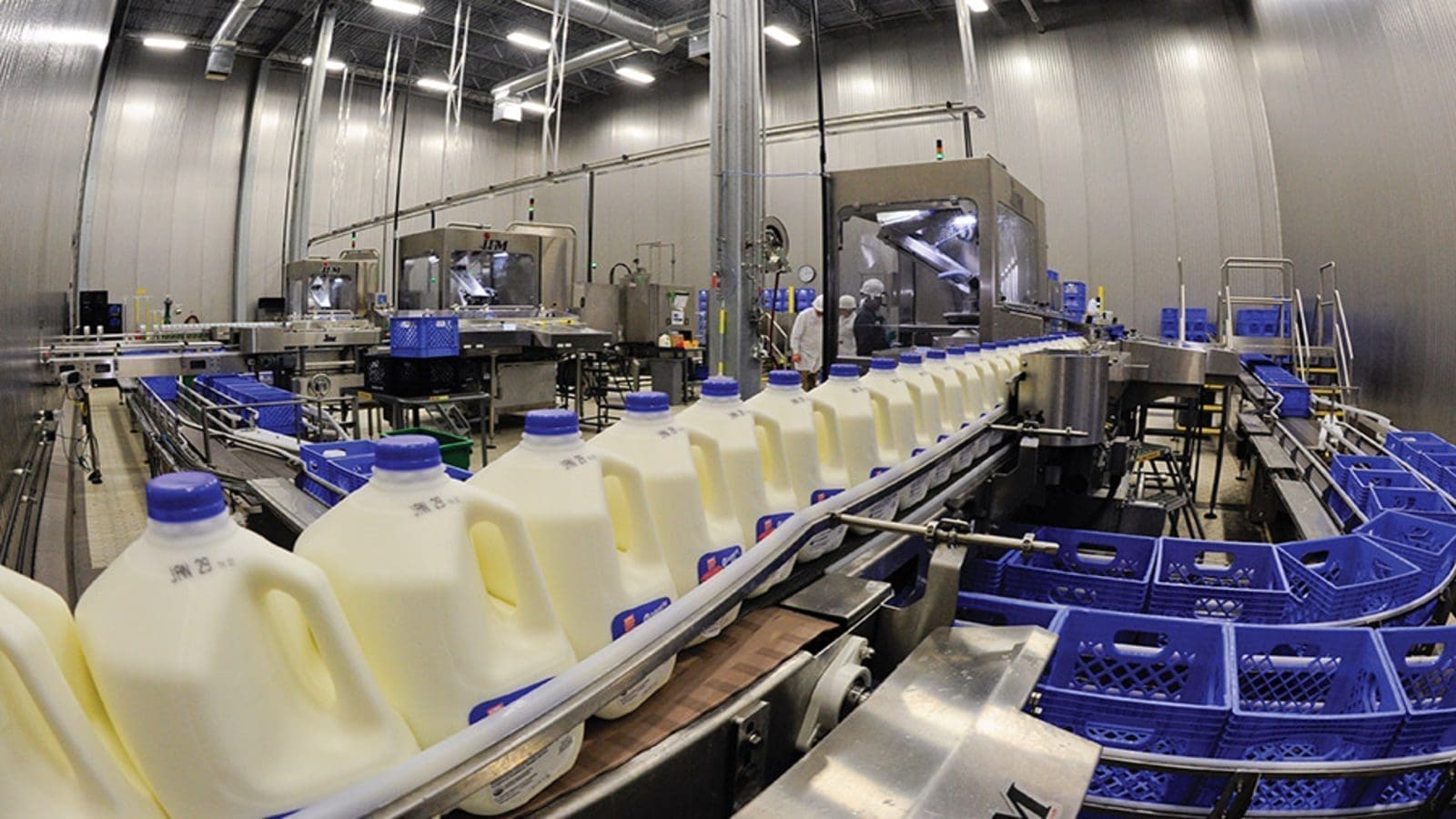 US$5M milk processing plant launched to bolster Angolan domestic dairy production