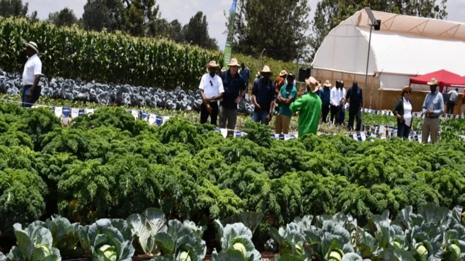 Syngenta opens Kenya’s first Crop Protection Development center in Kiambu