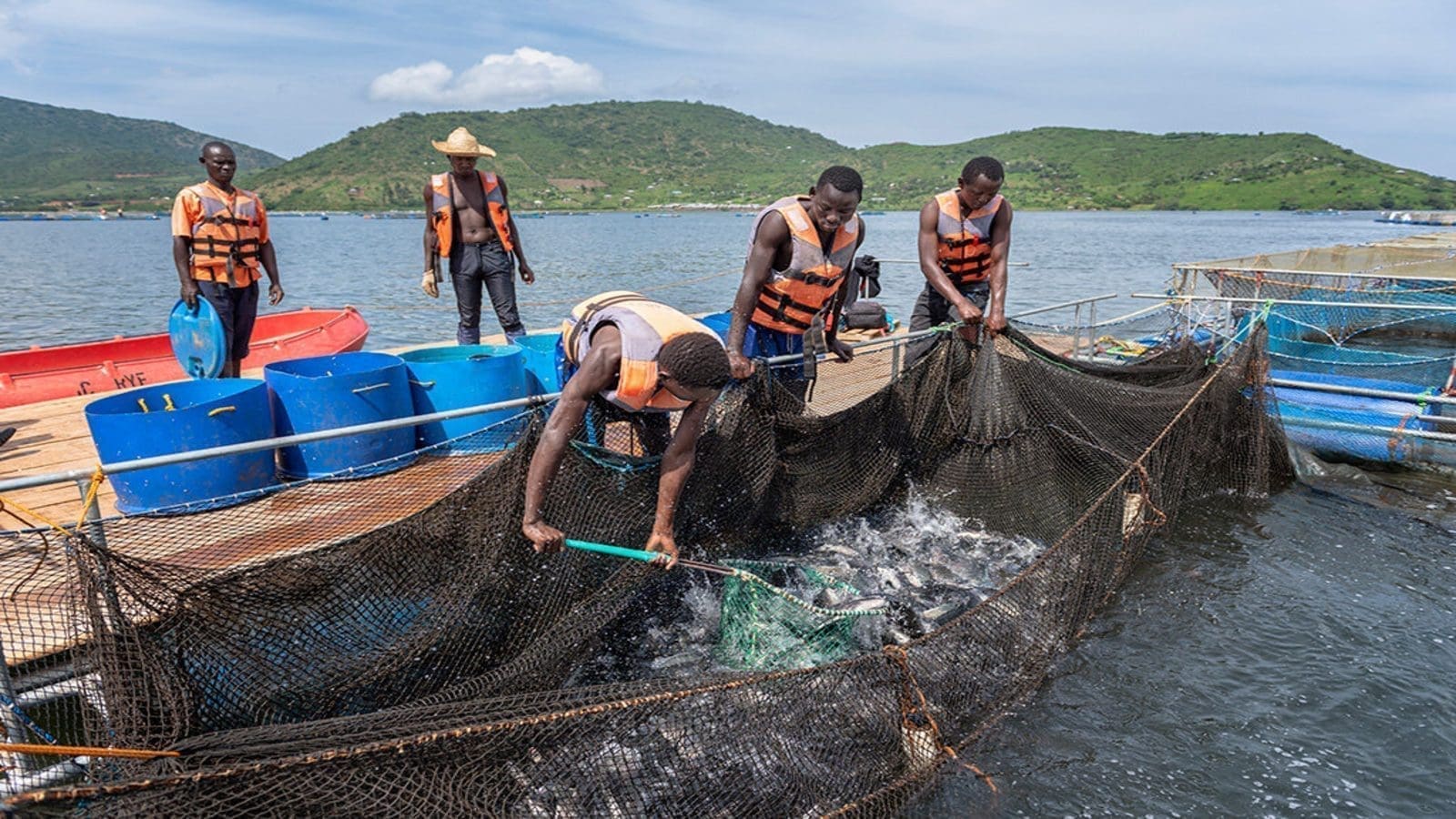Dangerous chemicals persist in fish from Lake Nakuru prompting urgent calls for action