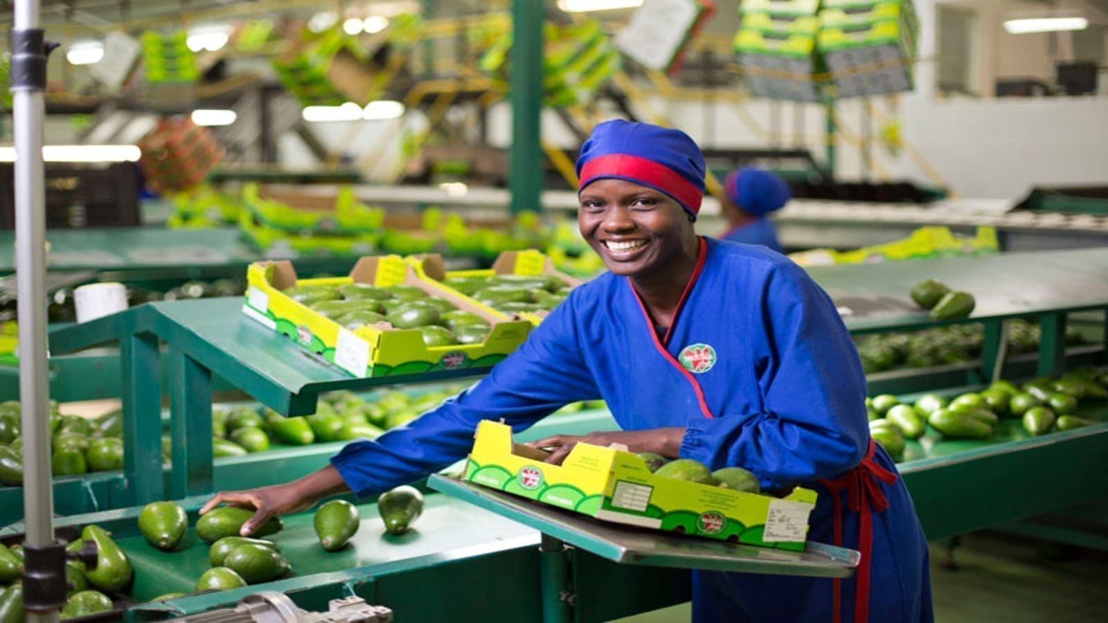 Westfalia Fruit receives US$300m expansion investment from three banks
