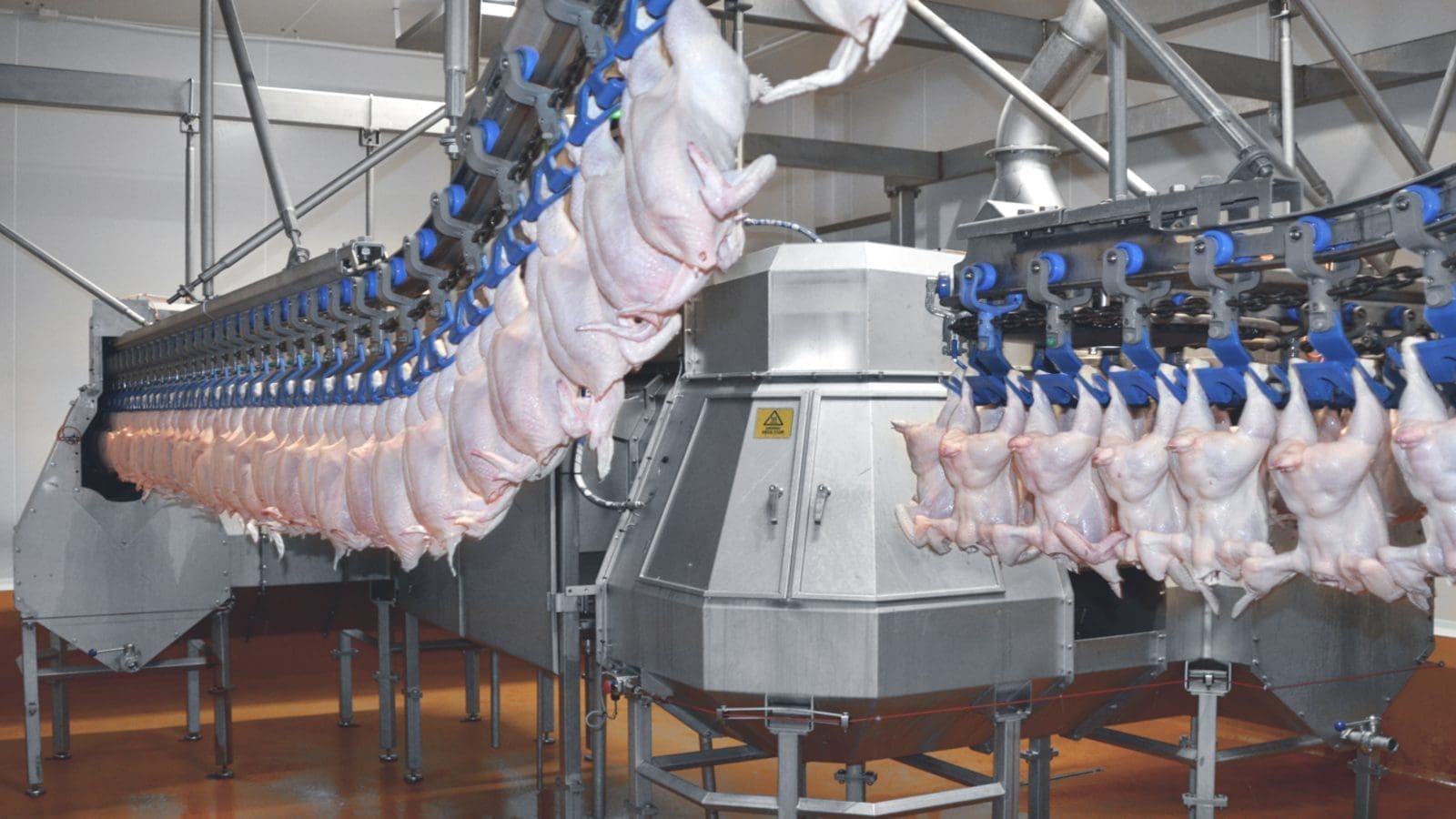 Hume International wants South Africa to adopt heat treatment protocol in poultry