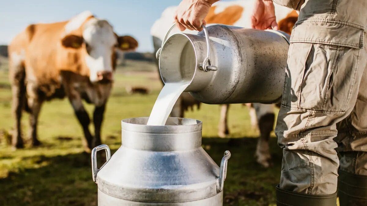 Tanzania to revamp ailing Njombe Milk Factory Company