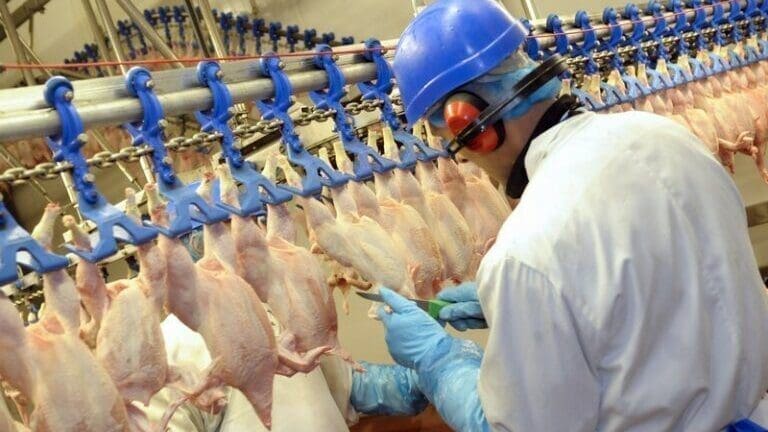 Poultry supplier Avara Foods to close Abergavenny Facility amid rising cost, reduced demand