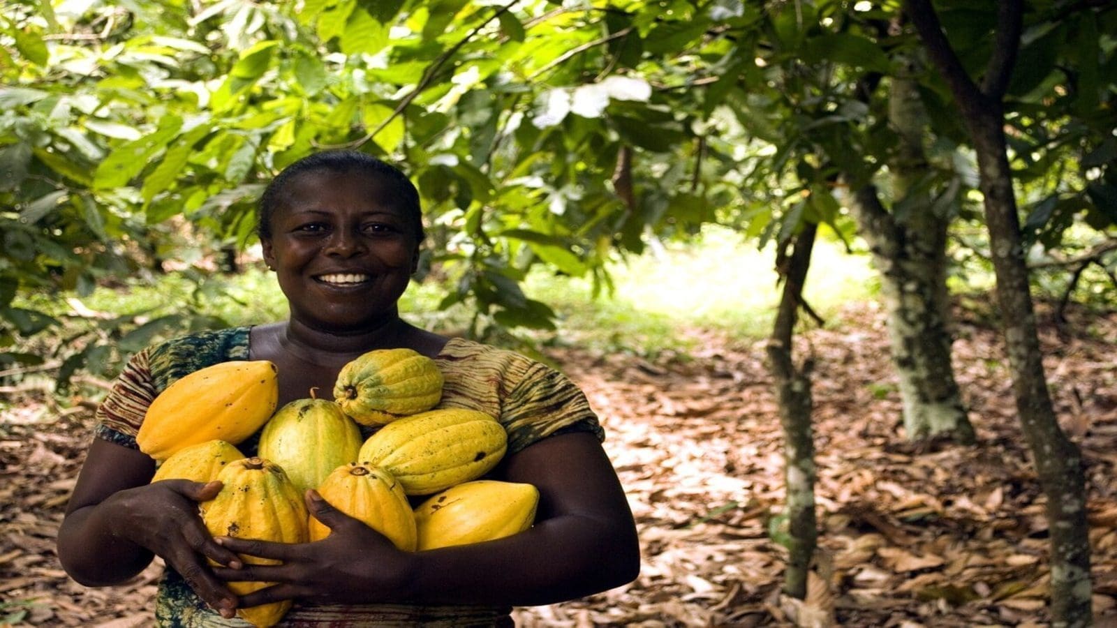 Hershey launches Income Accelerator in Ivory Coast to increase incomes for cocoa farming households