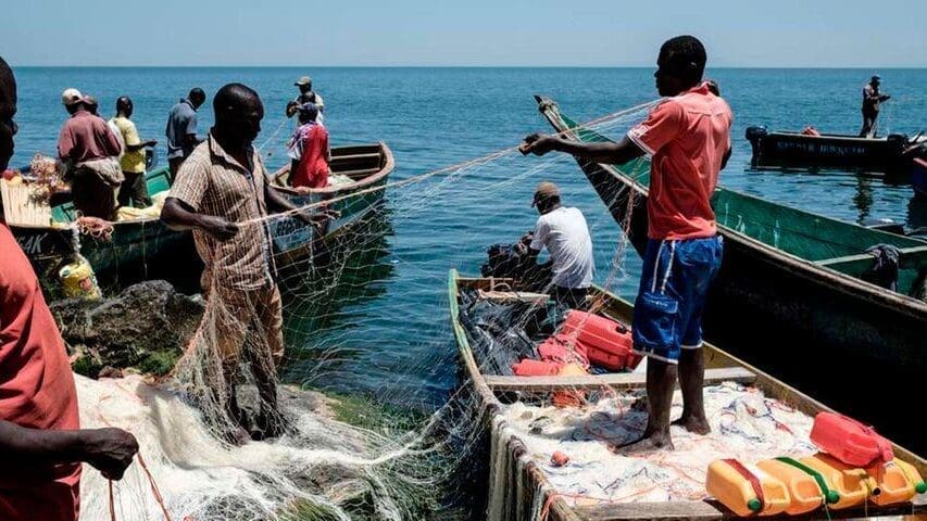 Mobile app assists Ugandan stakeholders access  reliable fisheries data in real-time