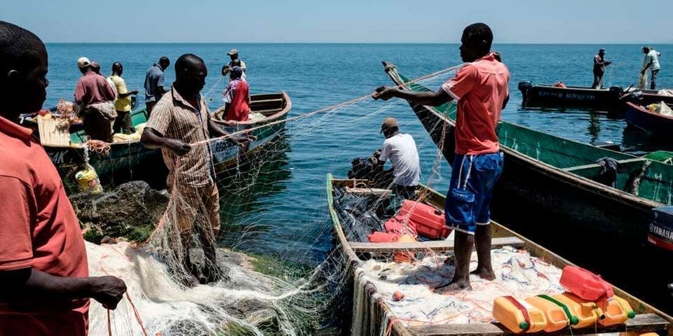 Kenya unveils 12 fish farming projects worth US$212.5m to boost production