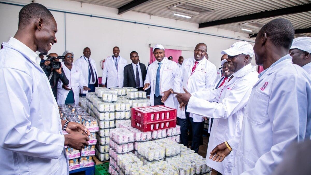 Kenya to bolster capacity of state owned dairy New KCC in push to boost fortunes for farmers