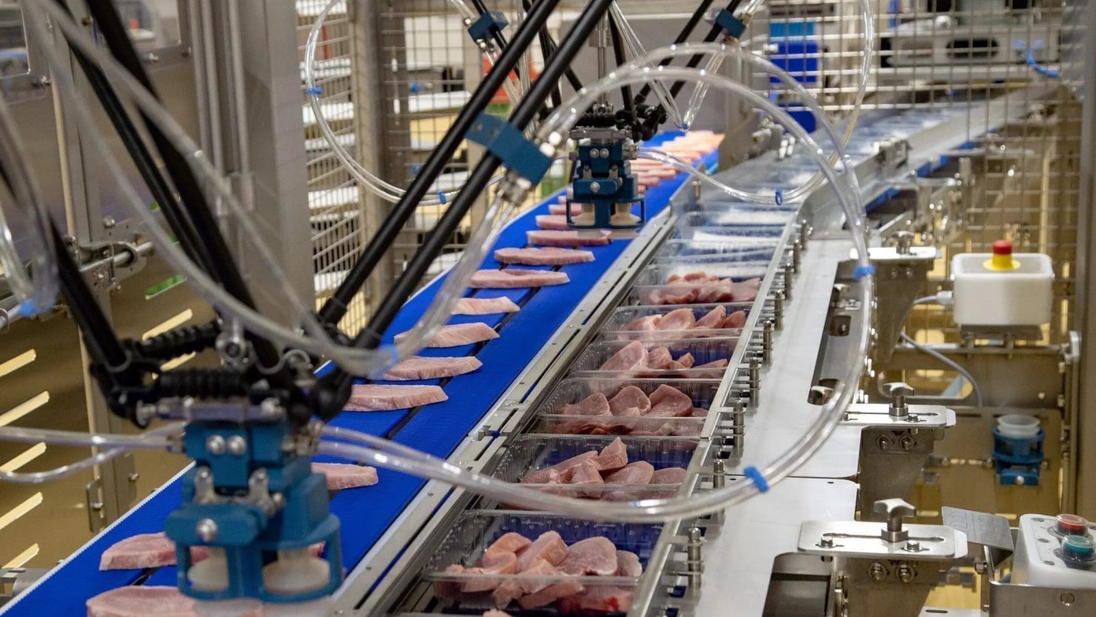 Dutch meat processor Vion Food Group plans to close its plant in Germany