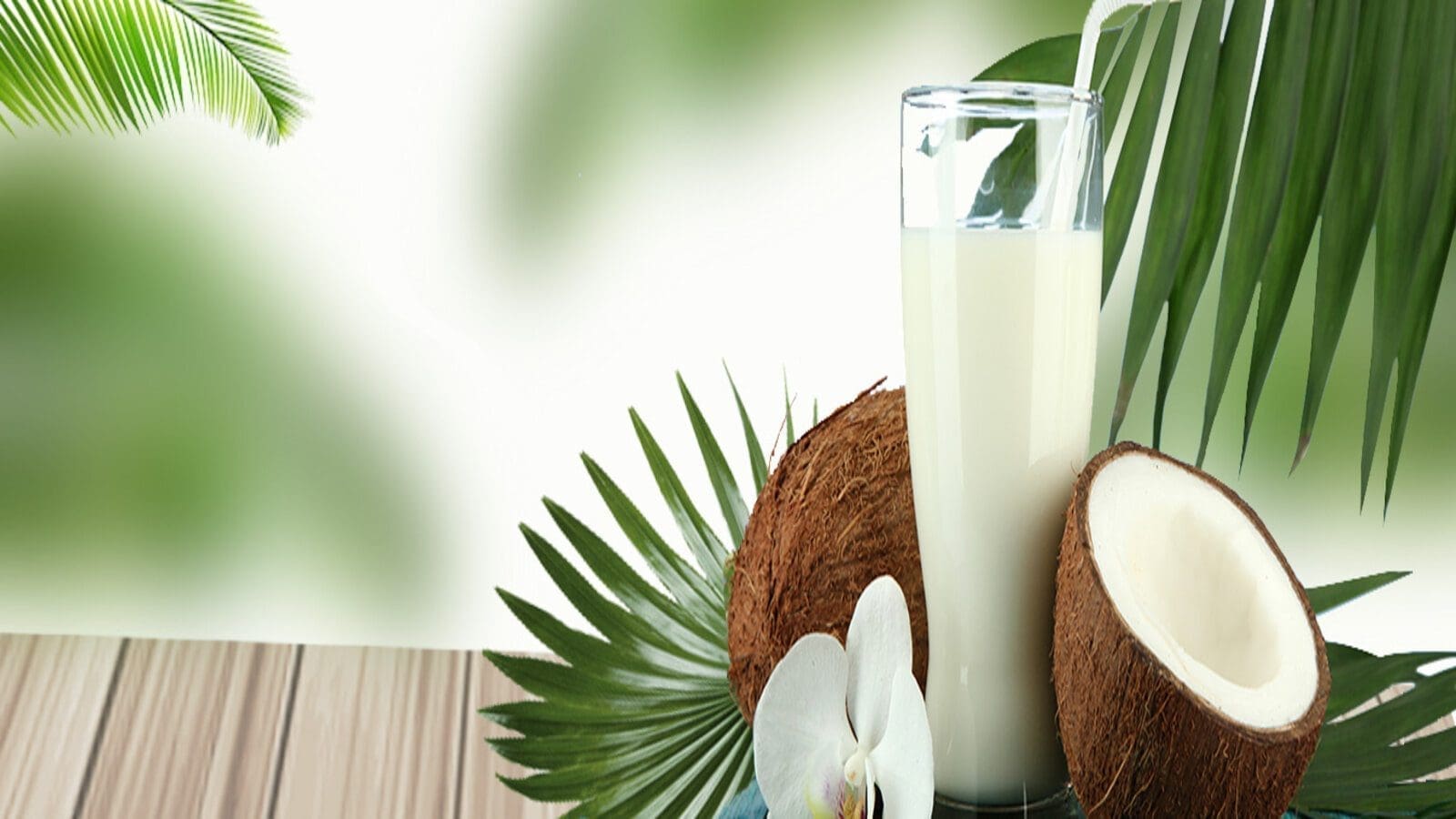 Private investor inject US$4.8m into construction of new coconut processing plant in Mozambique