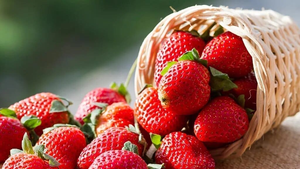 Strawberry consumption may improve heart health, cognitive function, new study finds 