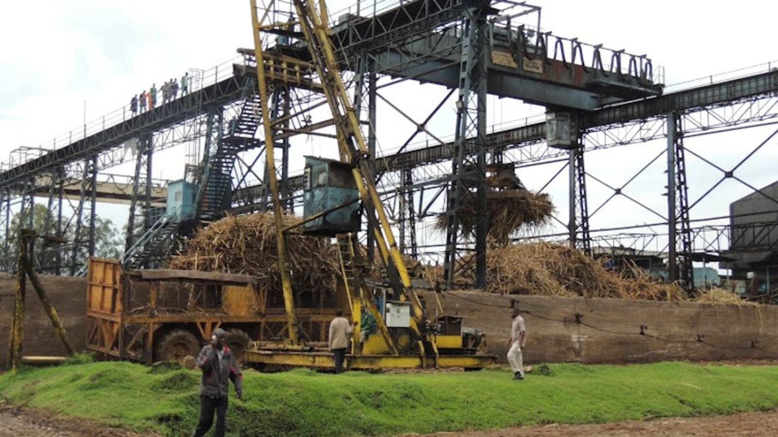 Sugar millers in Kenya suspend operations to allow for sugarcane regeneration in the country