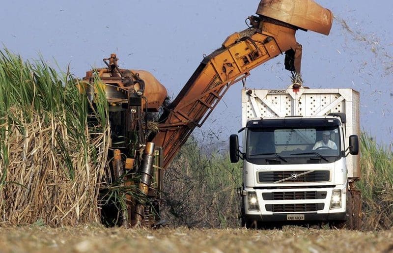 Zimbabwe to produce 417,000 tons of sugar in 2023, miller claims figure below industry capacity