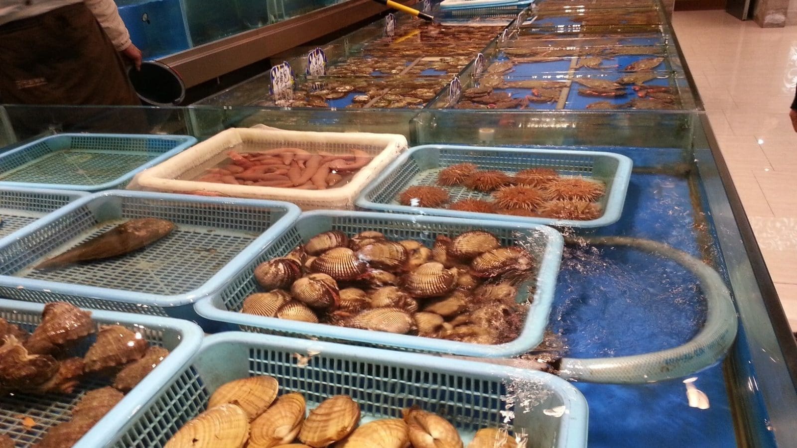 China’s seafood ban sparks plant-based opportunities amidst environmental concerns