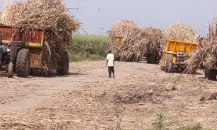 Sugarcane farmers move to court to prevent implementation of contentious sugar zoning regulations  